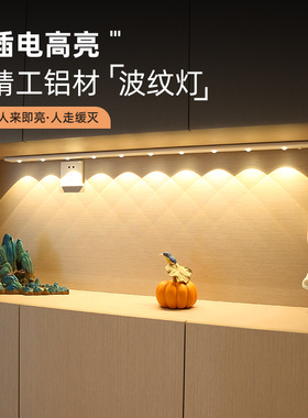 led小山丘波纹灯插电式人体感应灯玄关鞋柜橱柜灯条餐边柜灯带