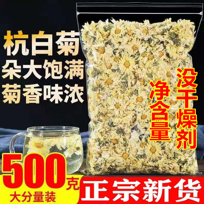 菊花茶杭白菊正宗特级桐乡菊花新代用/花草茶