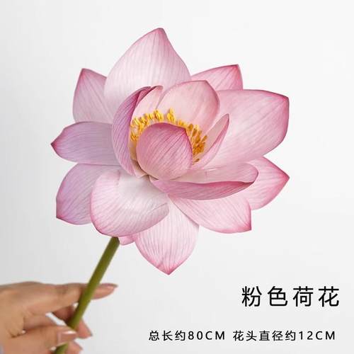 新款荷花仿真花古风拍摄装饰