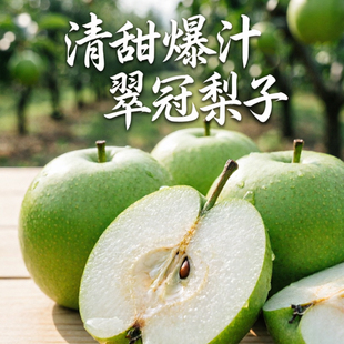 现摘现发苏翠一号翠冠梨子新鲜大果四川广元旺苍清脆甜爆汁5斤装