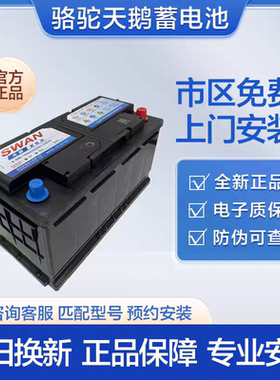 适配大通V80T70路虎奔驰S老宝马35系7系电瓶骆驼天鹅60044 100AH