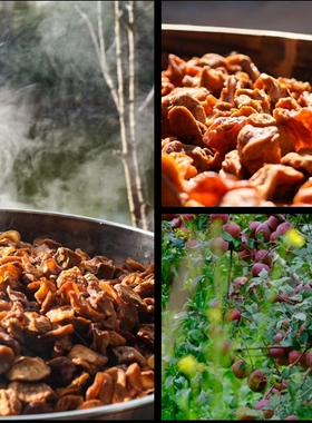 三蒸三晒苹果干（颜色不好看）250g