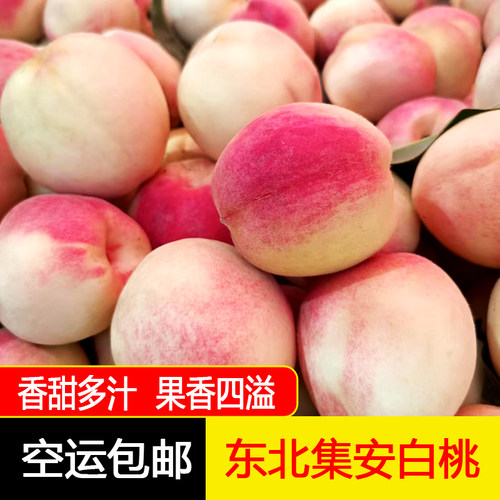 东北特产集安白桃香甜多汁