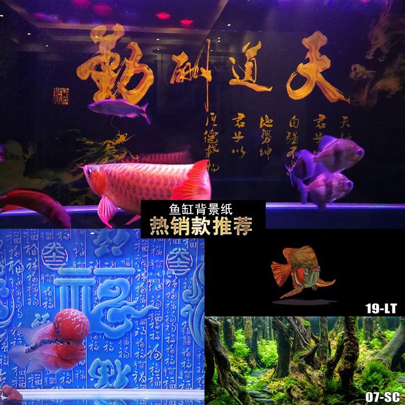 鱼缸背景纸3d立体高清画图壁画水族箱图贴纸壁纸背景画造景装饰图片