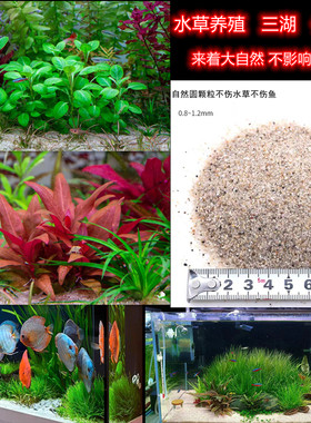 水草种植沙天然圆粒河沙免洗沙