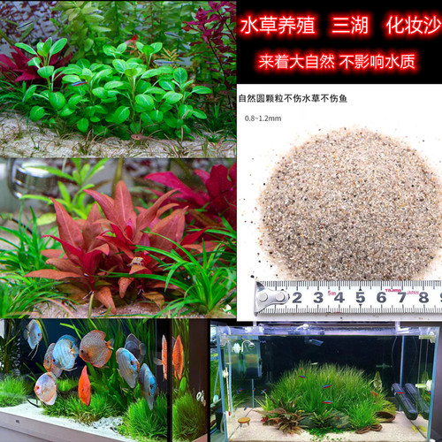 水草种植沙天然圆粒河沙免洗沙