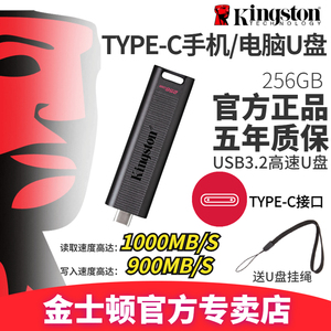 金士顿u盘1T高速512g固态256GB大容量手机Type-C接口DTMAX优盘