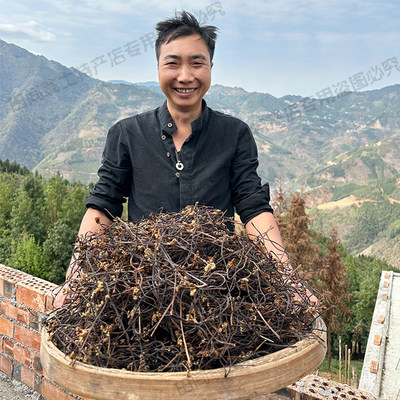 野生蕨菜天然无添加剂大自然味道农家手工风干蕨菜蔬菜干广西老山