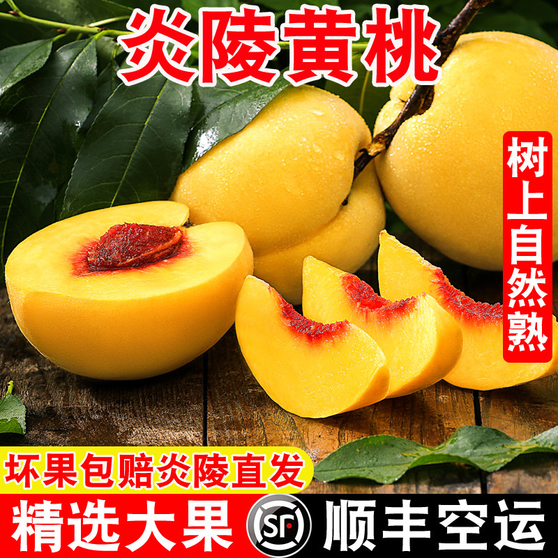 正宗湖南炎陵黄桃现摘现发当季孕妇新鲜水果锦绣桃子10斤装礼盒装
