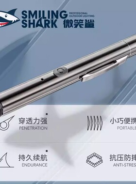 激光笔usb充电售楼部沙盘绿色镭射激光灯逗猫激光手电远射教学灯