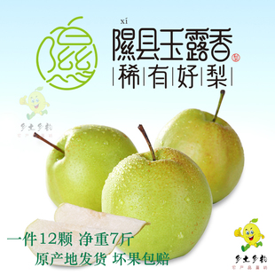 正宗隰县玉露香梨山西特产临汾特产12颗约7斤坏果包赔小西天梨