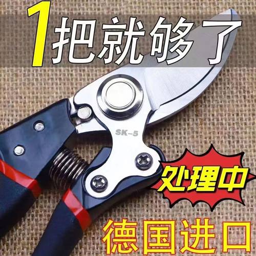 原装德国VVT日本进口SK5强力园艺修枝剪新款家用省力款花枝园艺剪