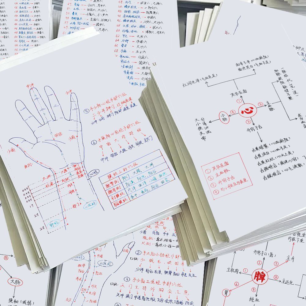 基础理论中医基础人体知识贴纸医学生笔记五脏六腑学习手账贴画