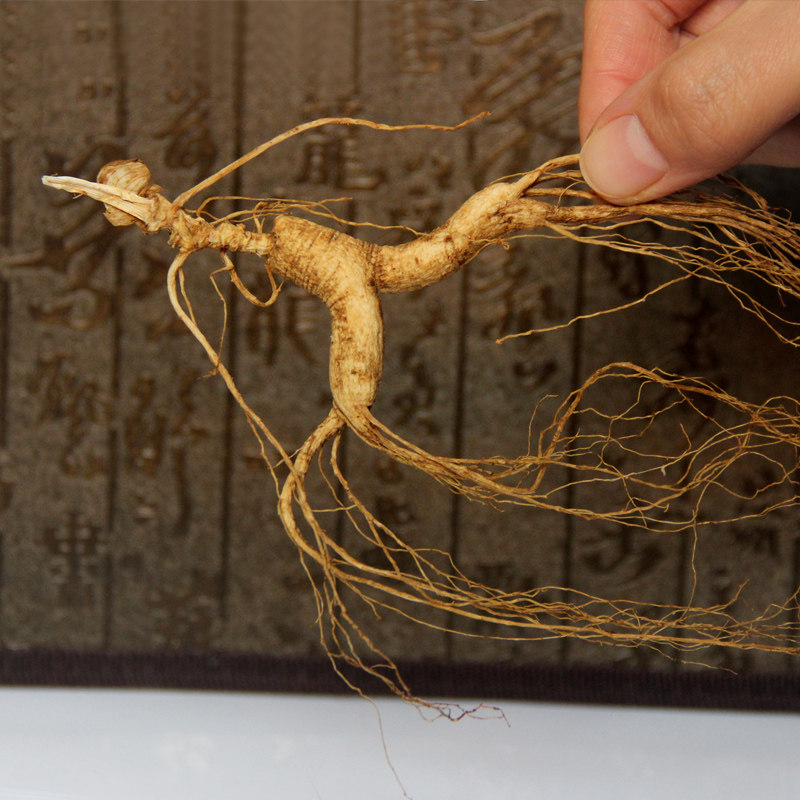 东北人参 山参长白山移山参野山参单支装5根免快递 整支