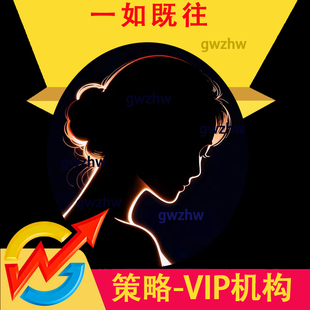 大智慧365全息盘口L2十档全推数据策略VIP机构版设计效果图销售