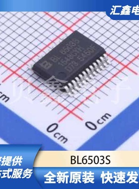 ADCDAC数据转换 BL6503S 原装正品 SSOP-24-208mil