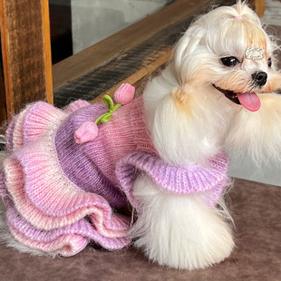 宠物小狗毛衣博美泰迪比熊法斗马尔济斯高档柔软保暖过年衣服春秋