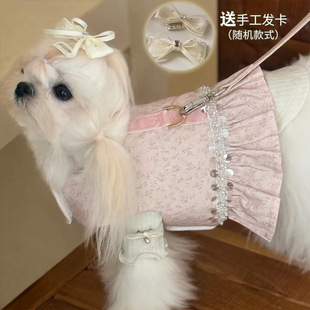 韩国轻奢小型犬宠物衣服马尔济斯比熊约克夏西施胸背牵引绳套装春