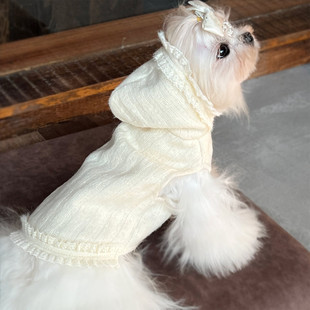 韩国连帽小香风宠物狗针织衫米白清新高档ins纯棉漂亮过年新衣服