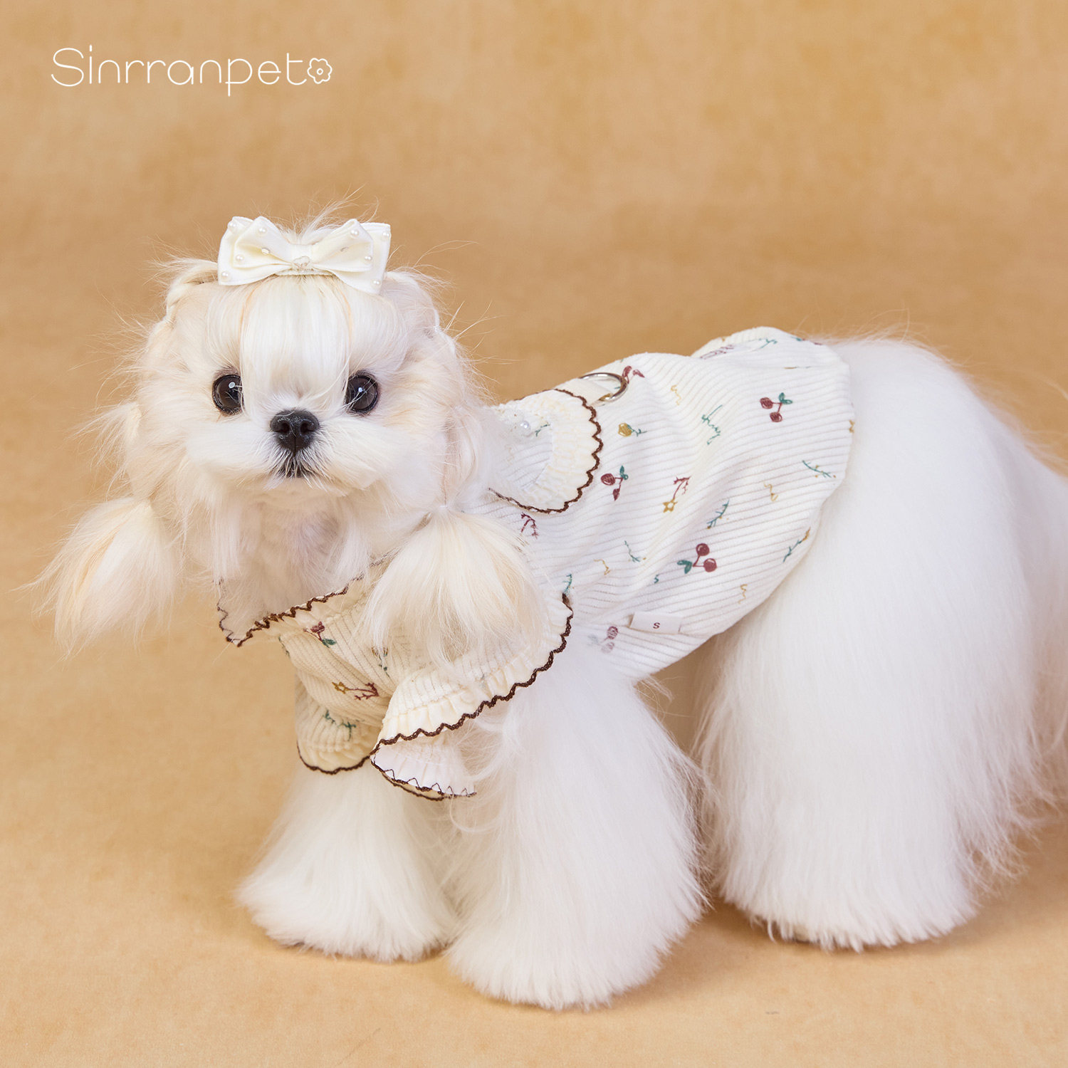 韩系宠物狗衣服春夏小清新过年连衣裙牵引西施约克夏马尔济斯比熊