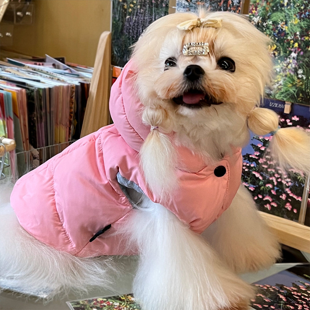 宠物狗羽绒服带帽子泰迪马尔济斯比熊博美小型犬冬季鸭绒保暖马甲
