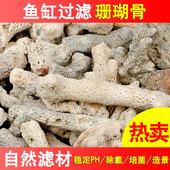 珊瑚骨鱼缸珊瑚沙过滤材料珊瑚石滤材鱼池养鱼底砂优质珊瑚砂造景