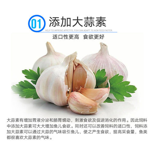 百因美三湖鱼六间布隆迪粗线坦