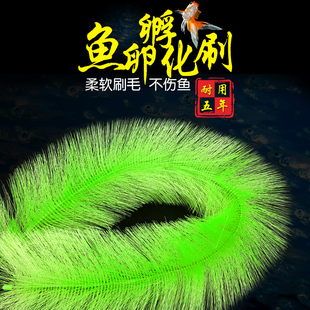 孵化草孵化锦鲤产卵草毛刷水产繁殖鱼卵孵化刷金鱼鱼巢孵化刷包邮