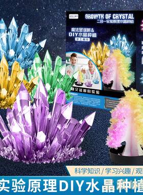 让孩子痴迷的趣味科学种水晶生长水晶steam科学小实验儿童手工DIY