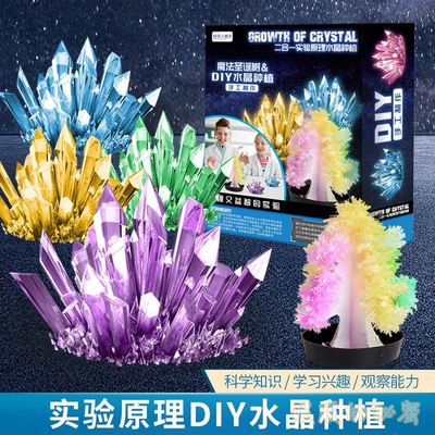 让孩子痴迷的趣味科学种水晶生长水晶steam科学小实验儿童手工DIY