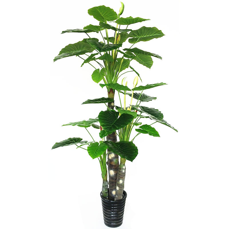仿真植物盆栽绿植大型滴水观音仿真芋头树客厅落地室内装饰海芋树