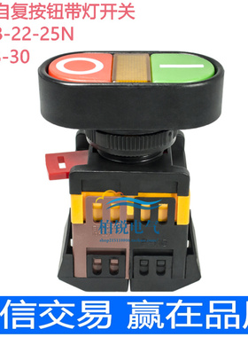 双键带灯椭圆APBB-22N-25N  AS-22 双位带灯 PPBB自复位 控制开关