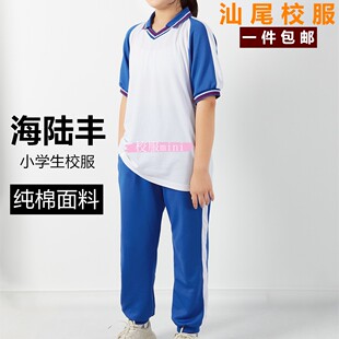 汕尾校服 海丰陆丰小学生校服新款蓝色纯棉夏季套装 男女通用服.