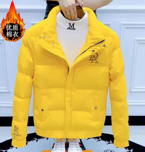 外套潮流行棉袄情侣款 2025冬季 棉袄立领加厚棉服修身 棉衣短款 男士