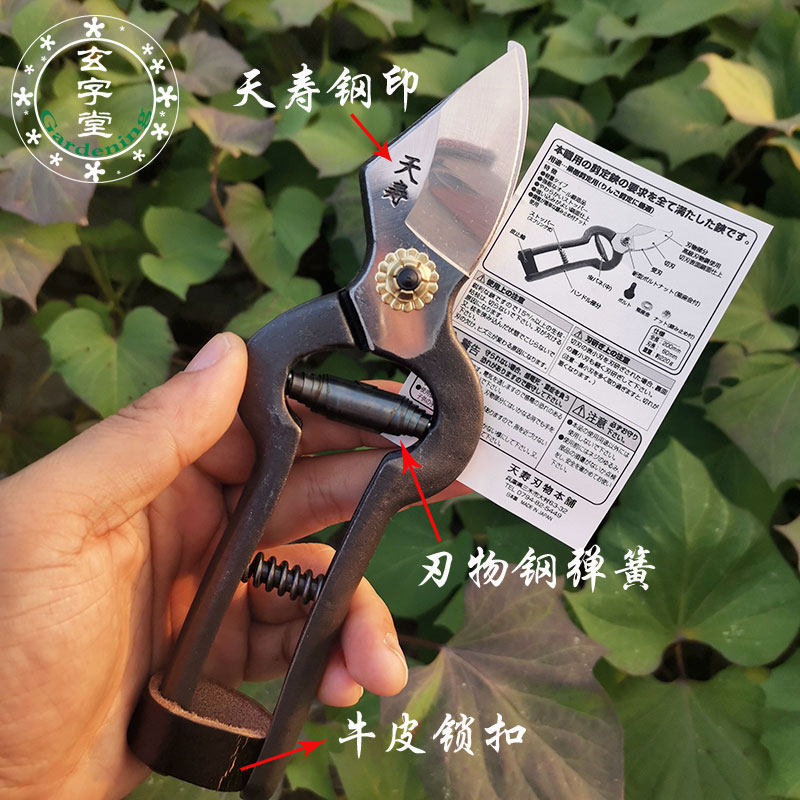 修枝剪钢果树安师原装进口锻造大 来盆景 修枝剪专业定铗日本天寿