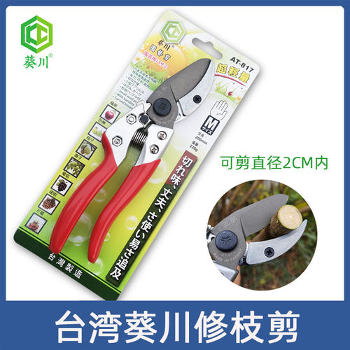 修枝剪葵川省力好用果树修枝