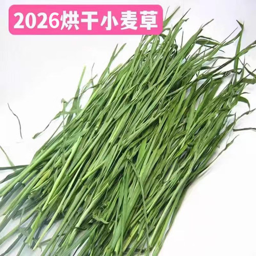 26年500g包邮兔兔干草
