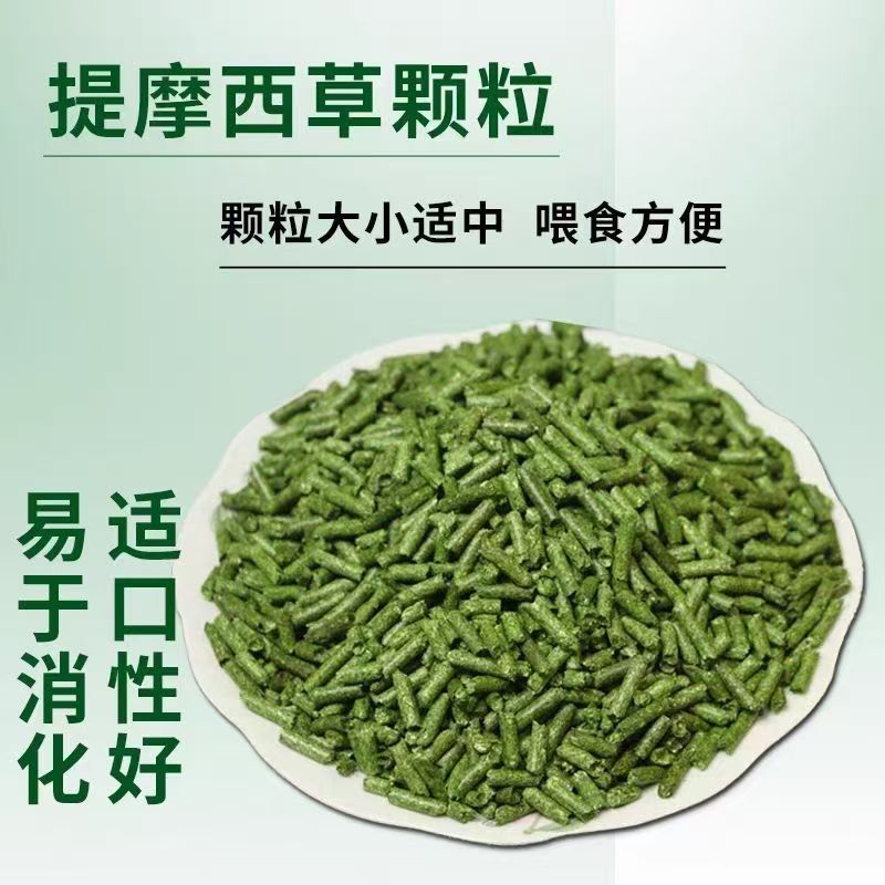 提摩西草颗粒可代替磨牙天竺鼠粮