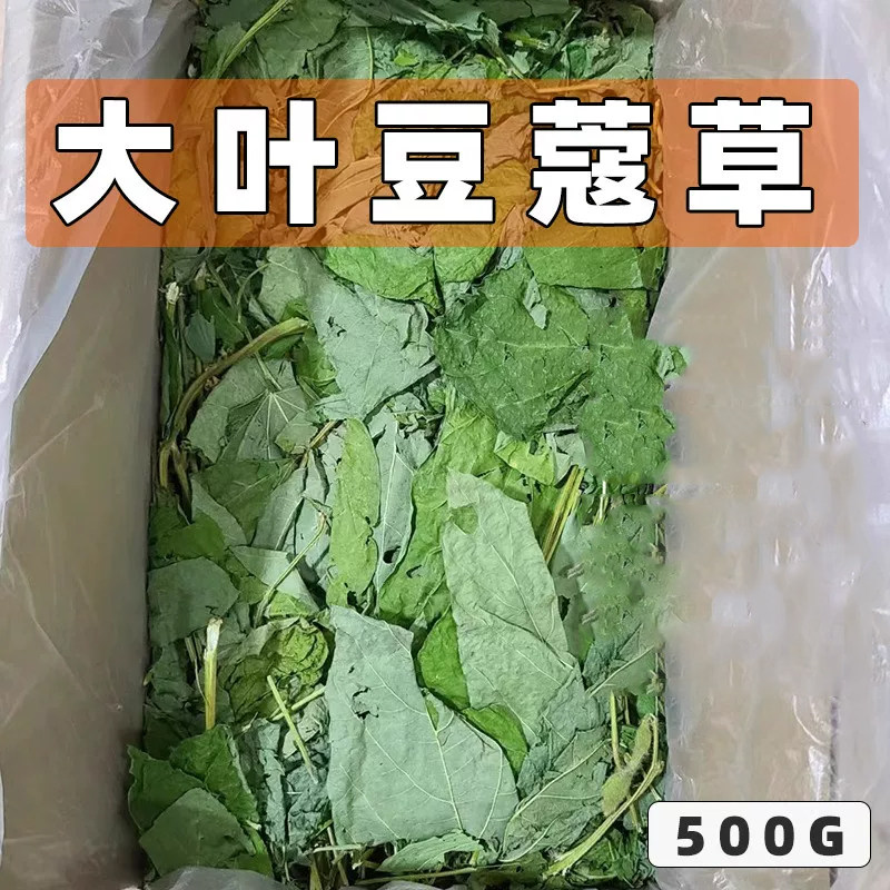 新草大叶豆蔻草净重500g 龙猫兔子天竺鼠营养草高蛋白开胃催奶