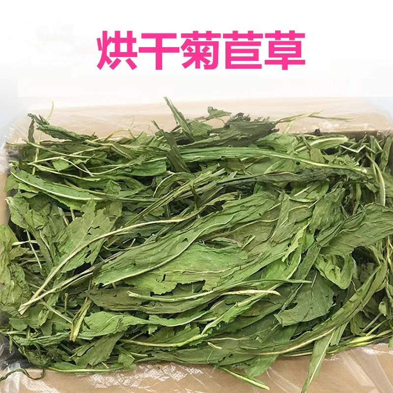 今年新烘干菊苣草龙猫兔子豚鼠调理肠胃干草治清热去火500g,宠物/宠物食品及用品,兔兔其他,淘宝优惠券,粉丝福利购,淘宝优惠卷