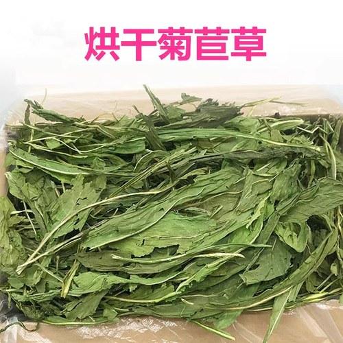 烘干菊苣草调理肠胃干草