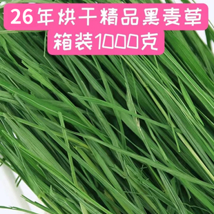 2026年新烘干黑麦草1kg箱装兔子龙猫荷兰猪干草粮食饲料牧草多叶
