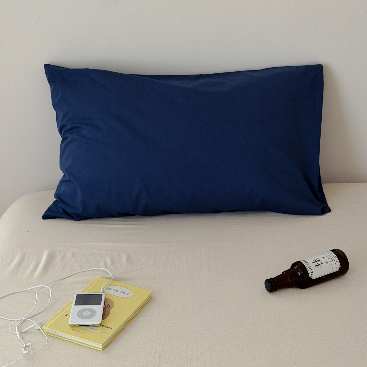 2026年新款全棉色织水洗棉单品枕套成人可机洗四季简约风枕套一对