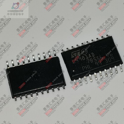 L4981AD013TR L4981AD SOP20 全新原装