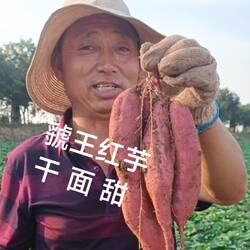 板栗红薯 虢王红芋干面甜浇灌用水与西 凤酒同源海南新疆西藏不发