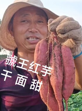 板栗红薯 虢王红芋干面甜浇灌用水与西 凤酒同源海南新疆西藏不发