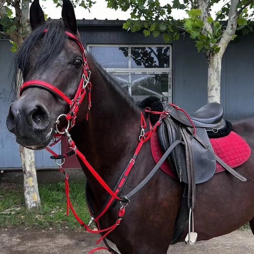 迪凯马具高端耐力赛水勒缰绳马胸带低头革一体整套马具马房马术用