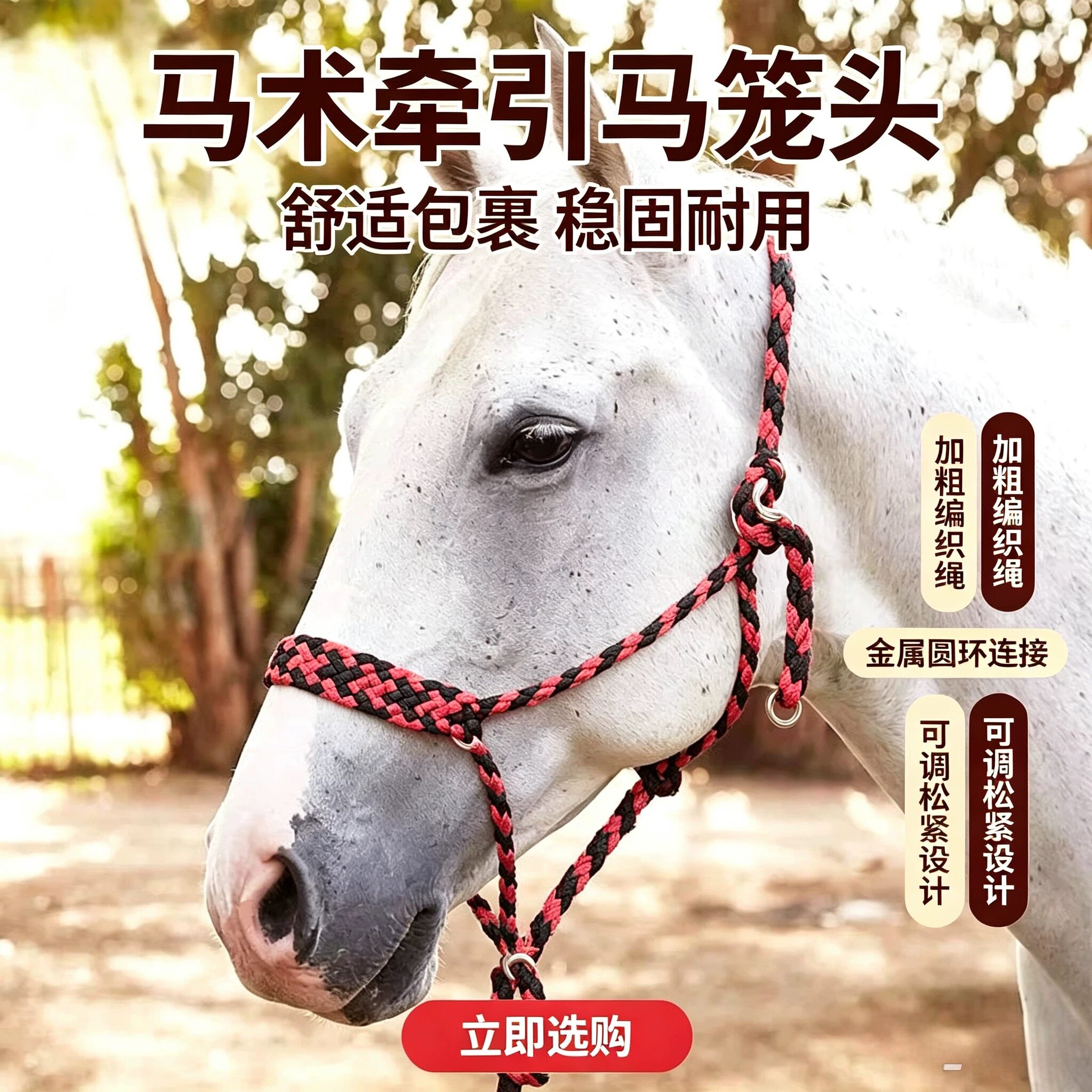 迪凯侬进口马笼头套装