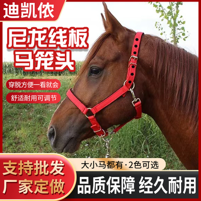 迪凯马具马术龙套牵引马具绳笼头合金配件调教龙头套拴马装备包邮