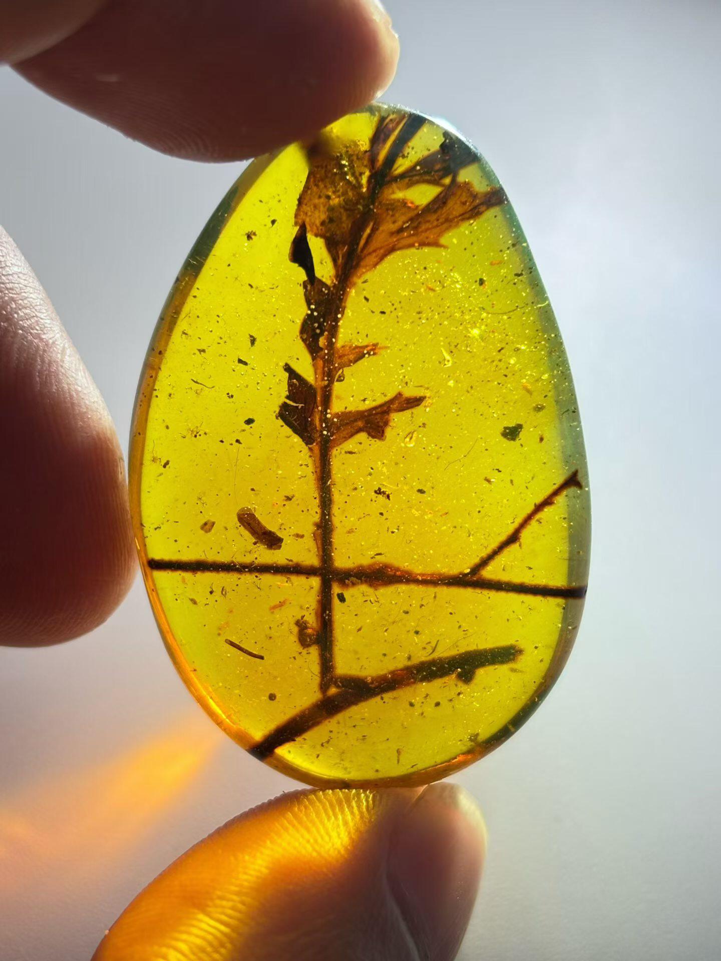 素缘缅甸天然虫珀吊坠0427琥珀带植物叶子标本化石原矿坠子
